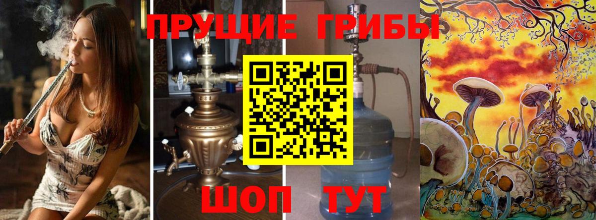 Псилоцибиновые грибы MAGIC MUSHROOMS Вышний Волочёк