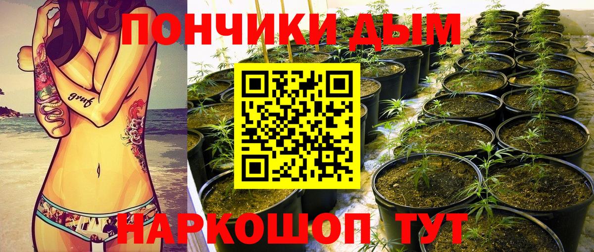 Марихуана индика Вышний Волочёк